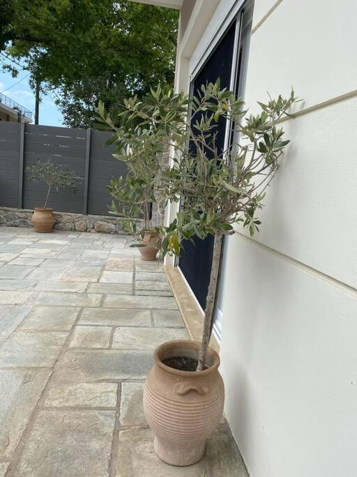 Villa Oleander Agios Nikolaos Loutra Edipsou Εξωτερικό φωτογραφία