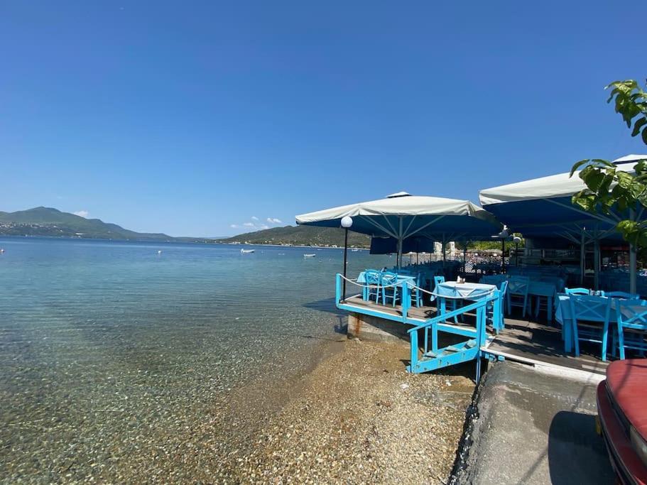 Villa Oleander Agios Nikolaos Loutra Edipsou Εξωτερικό φωτογραφία