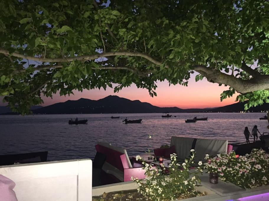 Villa Oleander Agios Nikolaos Loutra Edipsou Εξωτερικό φωτογραφία